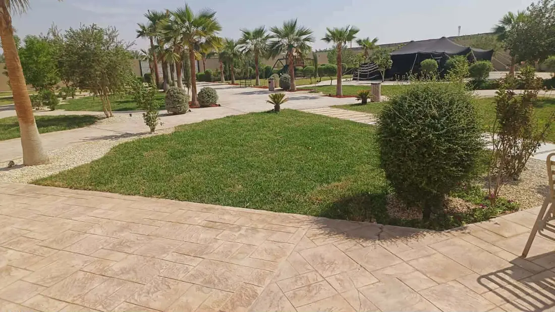 عشب طبيعي وتربة زراعية في الرياض